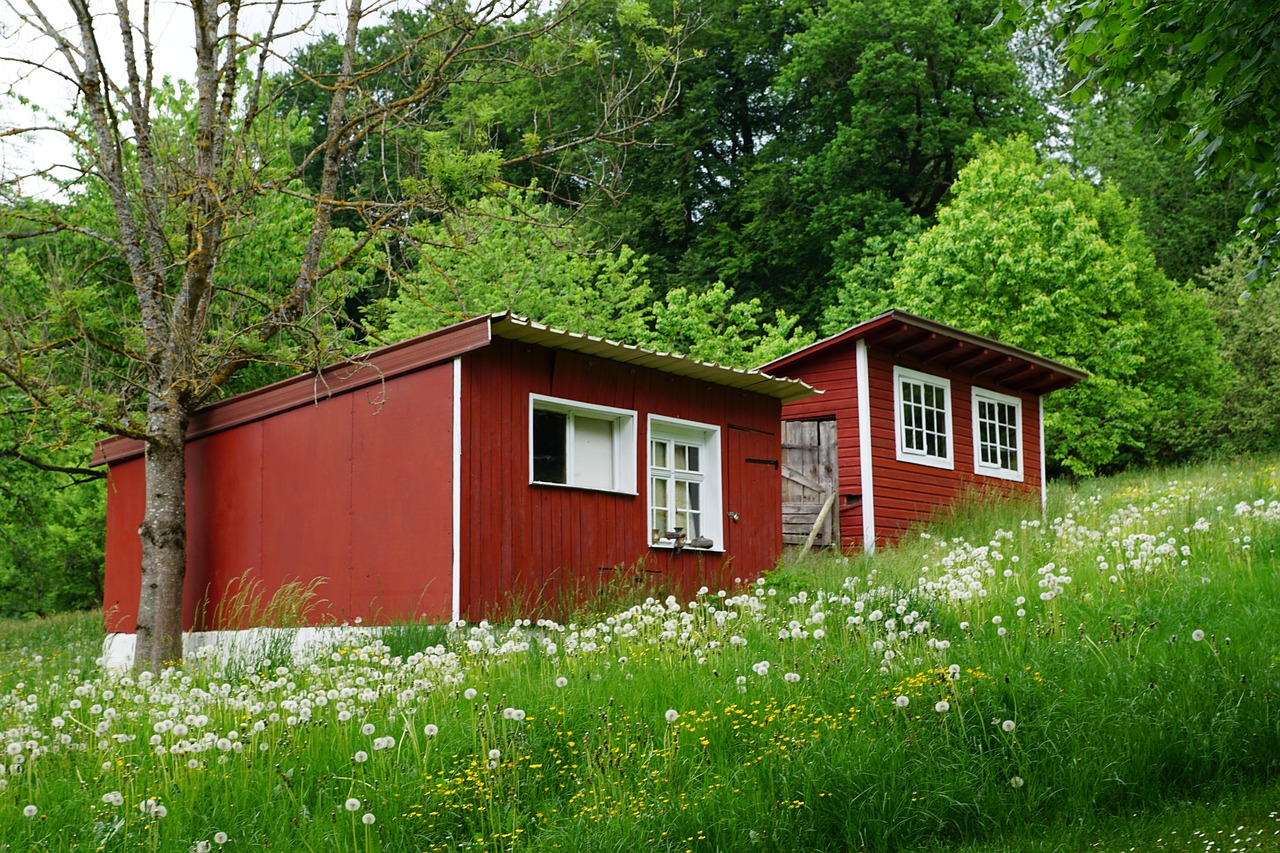 Financer une Tiny House sur un Terrain : Comment cela Fonctionne